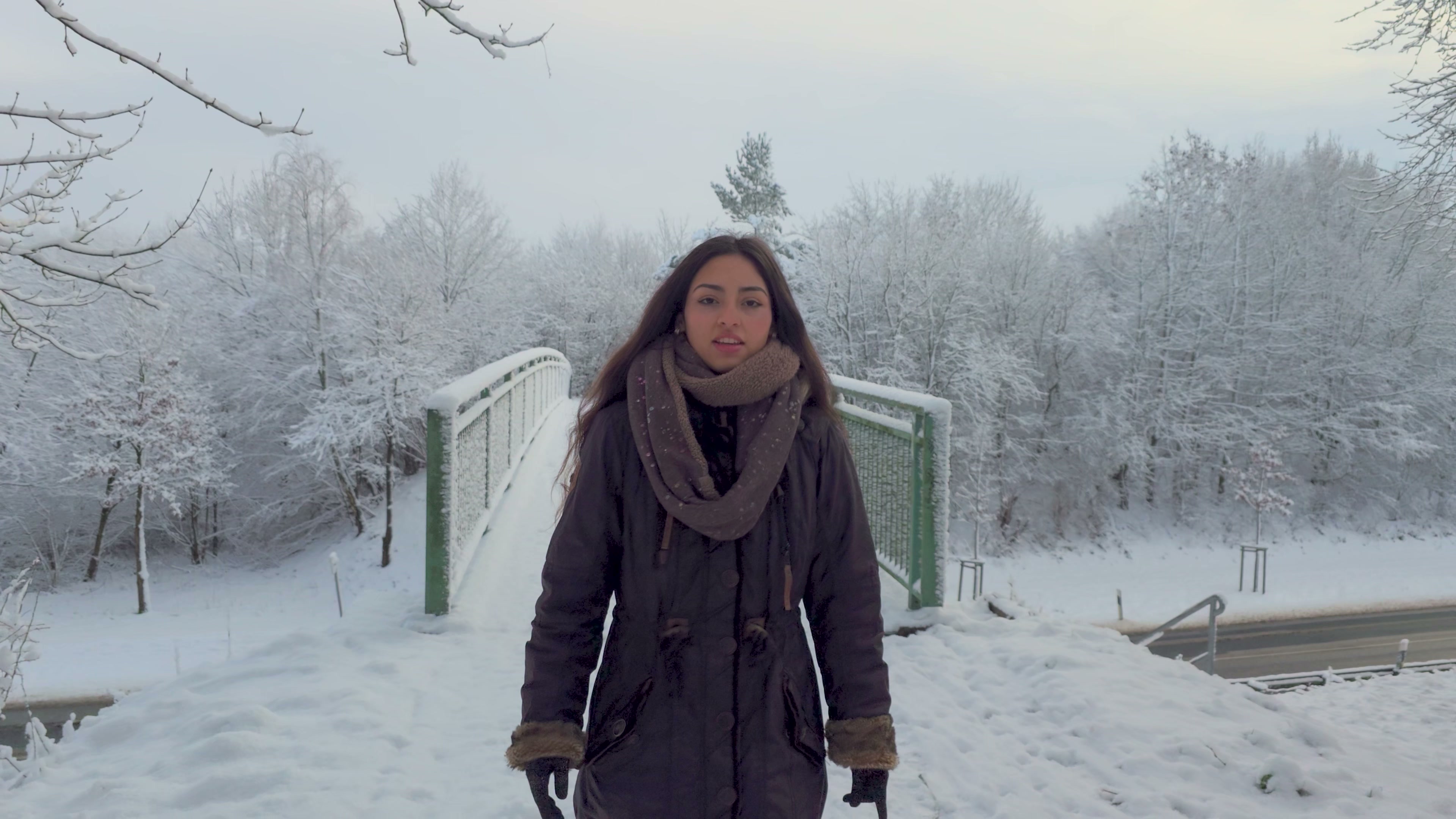 Video Standbild